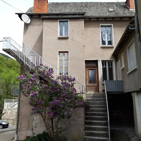 Avec Vue Panoramique Sur La Truyere Entraygues-sur-Truyère