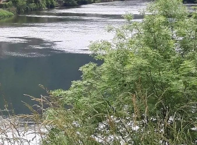 Avec Vue Panoramique Sur La Truyere Entraygues-sur-Truyère
